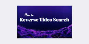 Reverse Video Search