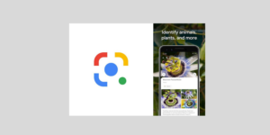 Identify Plants and Animal