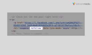 Nofollow Links