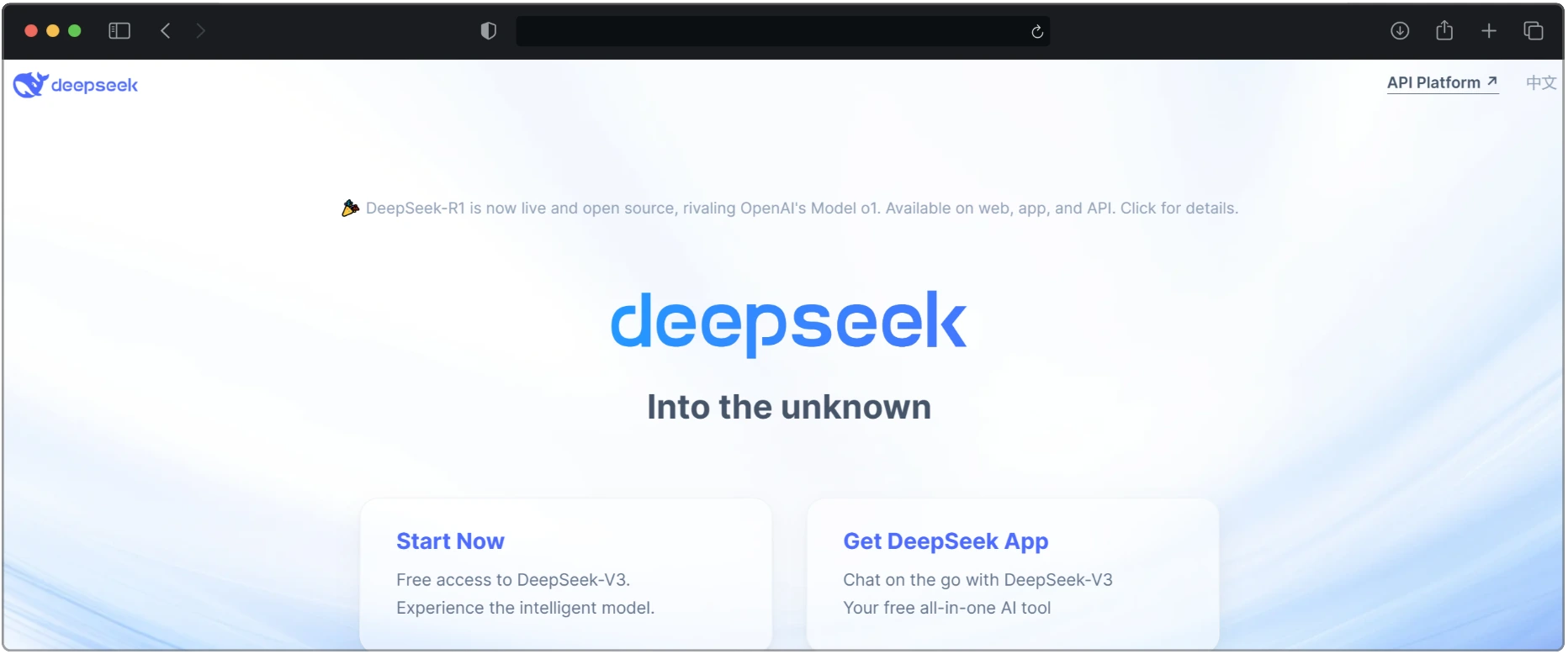 DeepSeek