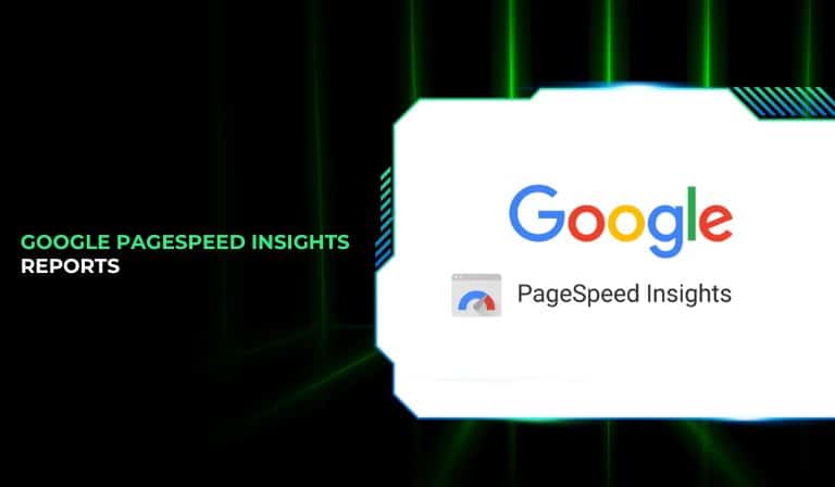 Google PageSpeed Insights Reports