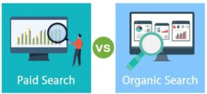 Paid-Search-vs-Organic-Search